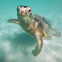 ✨おはようございます✨