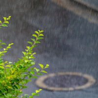 おはようございます！