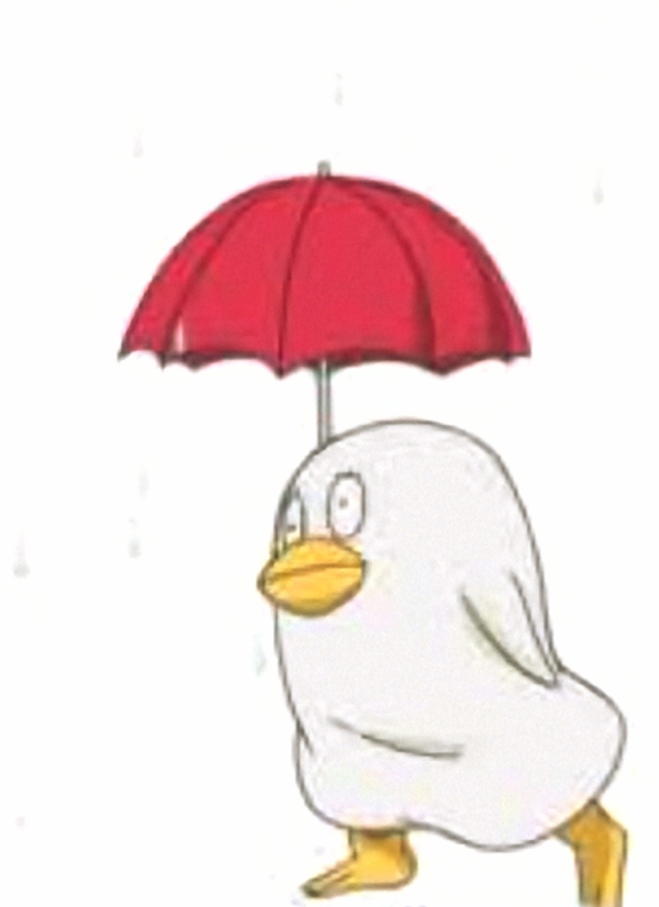 運転気を付けて☂️