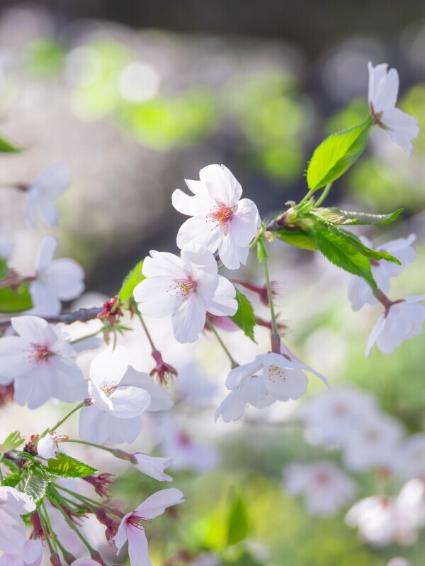 出勤しました☀