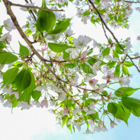 ✨本日出勤です✨