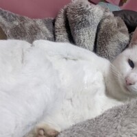 出勤してます😊