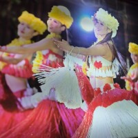 ✨🪷半袖🪷✨