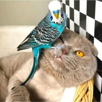 出勤しました😸