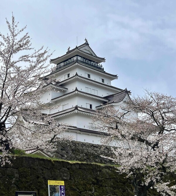 満開🌸
