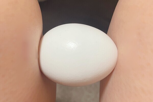 🥚