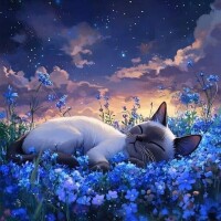 お疲れ様でした🌃