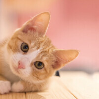 ✨おはようございます✨