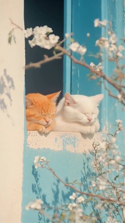 出勤しました☀