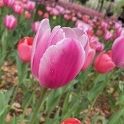 おはよっ(*´ω`*)☀️