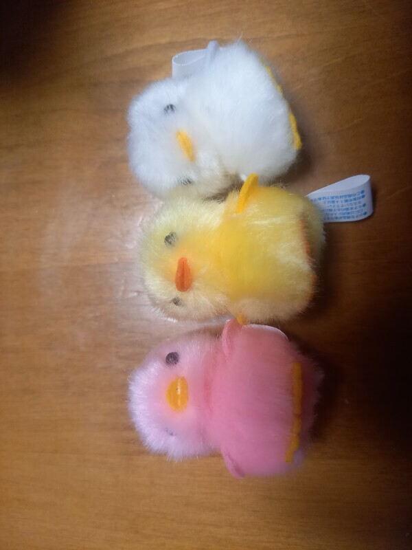 ぴよりーな🐥