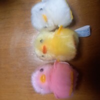 ぴよりーな🐥