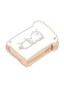 ✨おはようございます✨