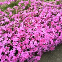 お疲れさまです✨