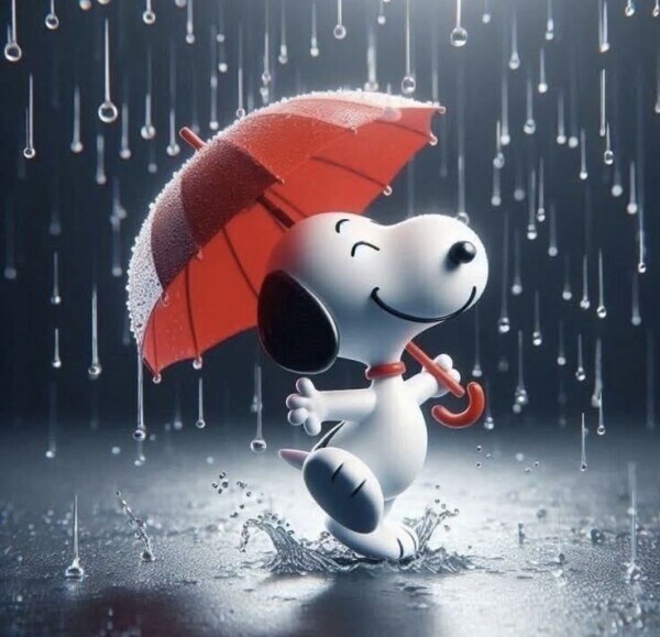 ☔