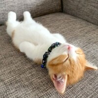 ✨おはようございます✨