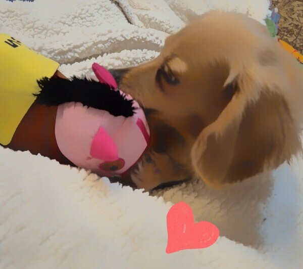 ✨🪷お昼から出勤します🪷✨