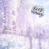おはよう☀️