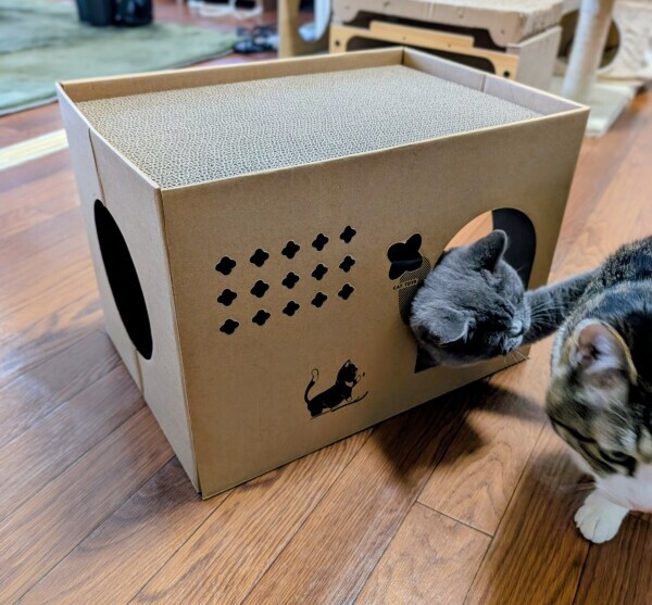 出勤です