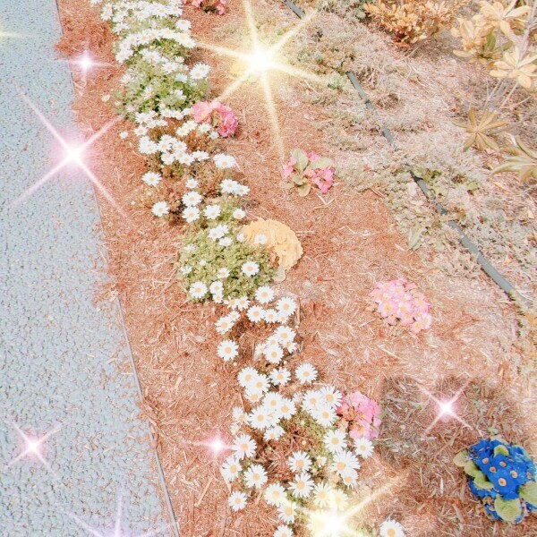 ✿*:･ﾟ