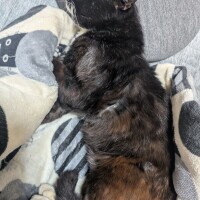 出勤予定です😊