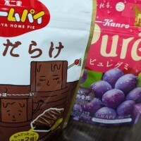 ありがとうございました🐱