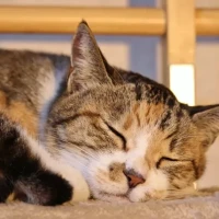 ✨おはようございます✨