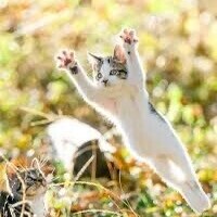 ✨出勤しました✨