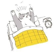 おはようございます☁