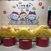 週末はお休みです🫧