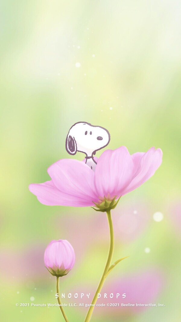 🌷