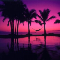 おやすみなさい🌙* :ﾟ