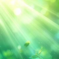 ✨おはようございます✨