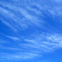 おはようございます☀