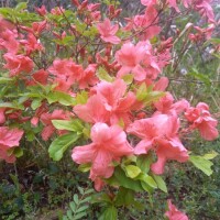 おはようございます☀️