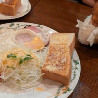 モーニング