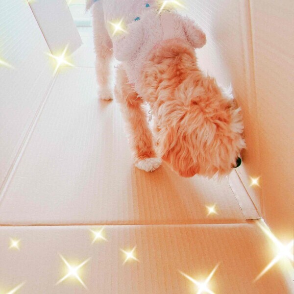 photo*°