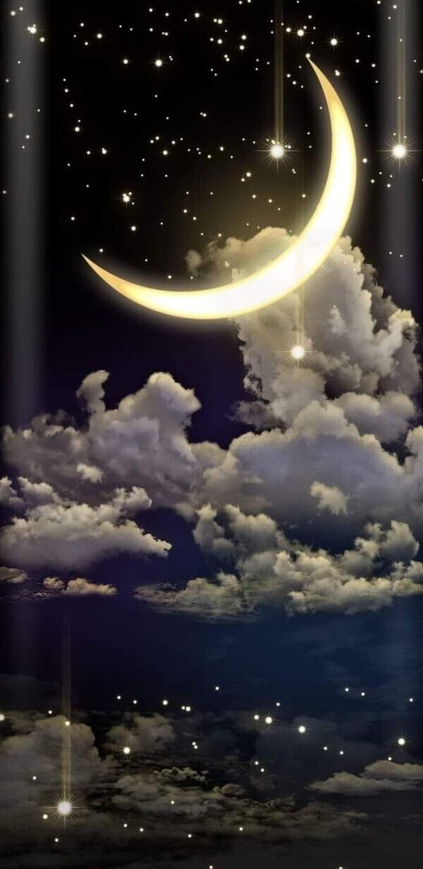 お疲れ様でした🌒