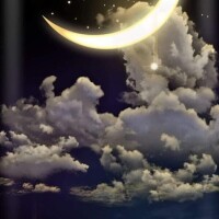 お疲れ様でした🌒