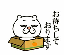 待機中です😊