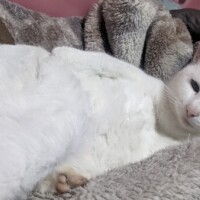 今週は平日出勤します😊