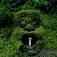 ✨おはようございます✨