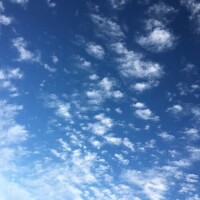 おはようございます！