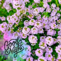 こんばんは⭐️