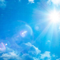 ✨おはようございます✨