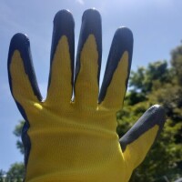 お休み2日目☀️