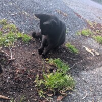 これから出勤します😊