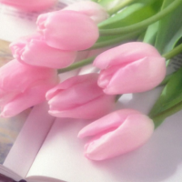 お疲れさまです😊