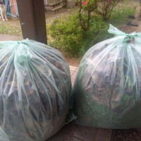 終わったけど💦