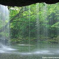 ✨おはようございます✨